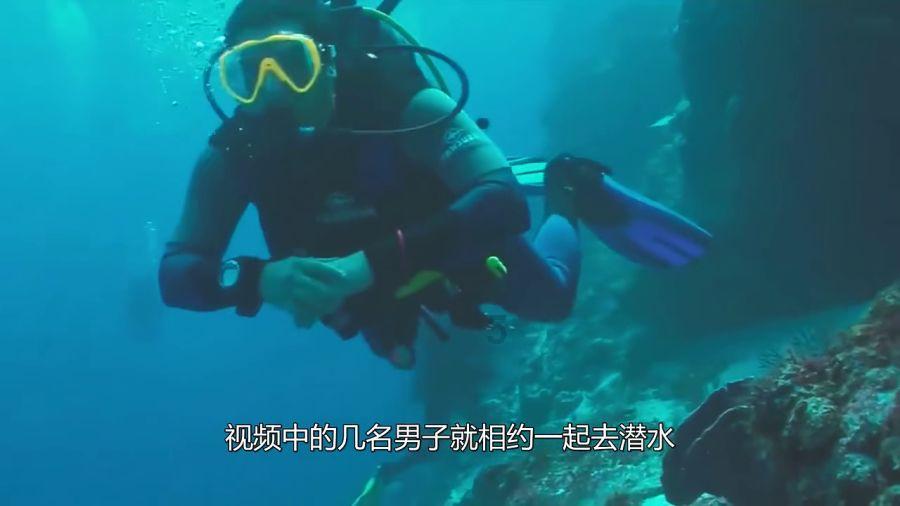 小猫钓鱼游戏龙王版有船